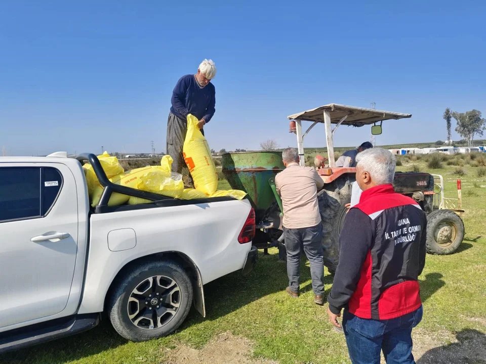 Ucuz Kaba Yemin Anahtarı Meralarda: Adana’da Gübreleme Çalışmaları Başladı