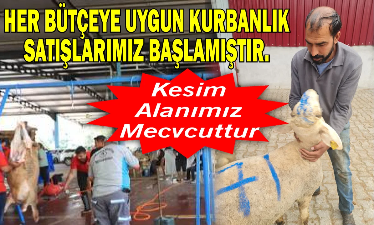 Timur Güneş: “Ceyhanlılara En Kaliteli Hizmeti Sunmak İçin Yenilendik”
