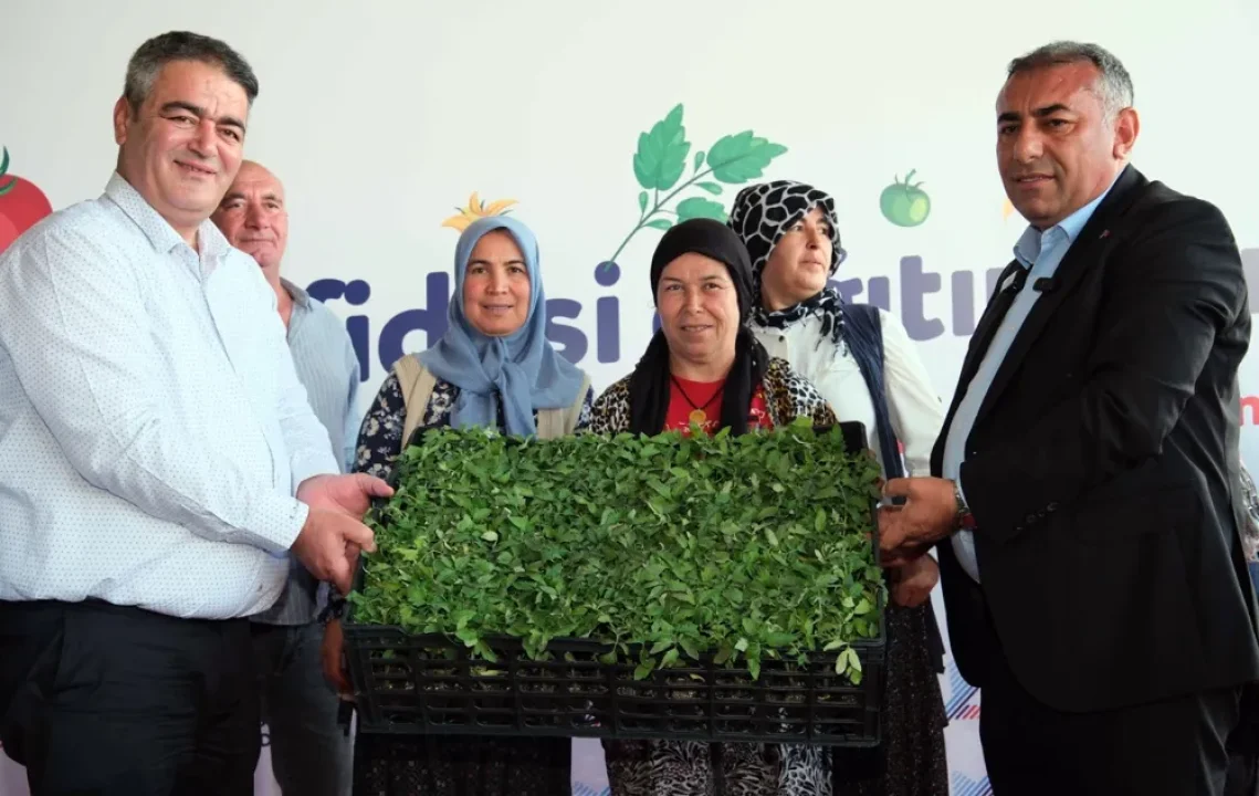 Aladağ’da Domates Fidesi Seferberliği: Zeydan Başkan’ın Başlattığı Projeler Hız Kesmiyor