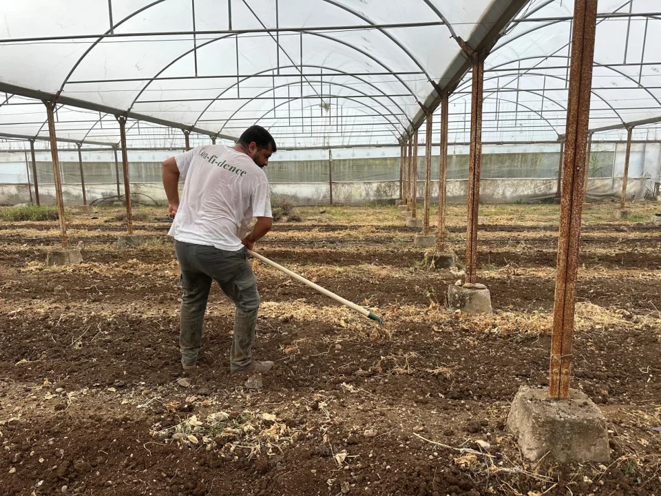Çevre Dostu Tarımda Örnek Adım: Bitkisel Üretim Birimi Toprağı Güneşle İhya Ediyor