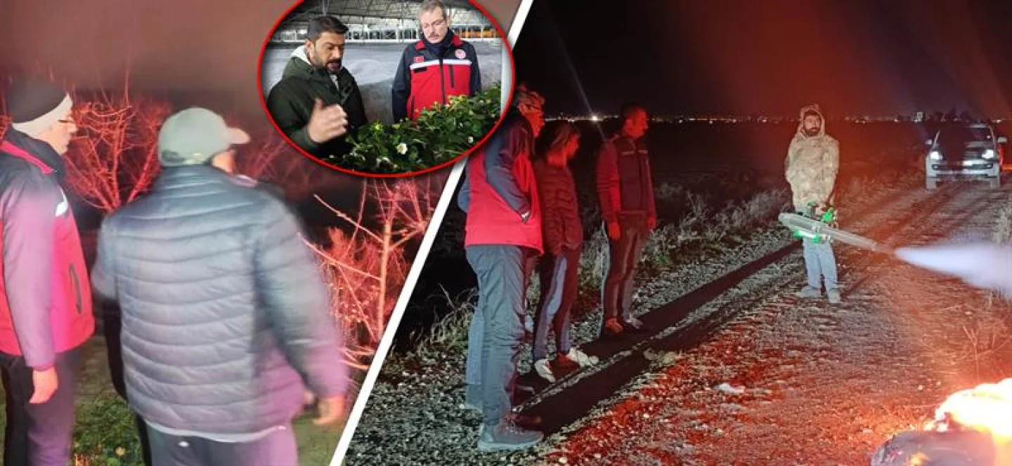 Narenciye ve Kışlık Sebzeler Don Tehlikesinde: İl Müdürü Destek Mesajı Verdi