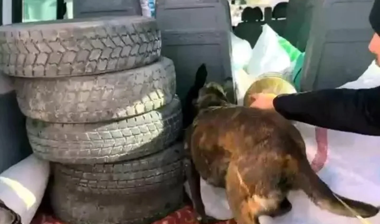 Adana’da Uyuşturucu Operasyonu: Şüpheli Tutuklandı