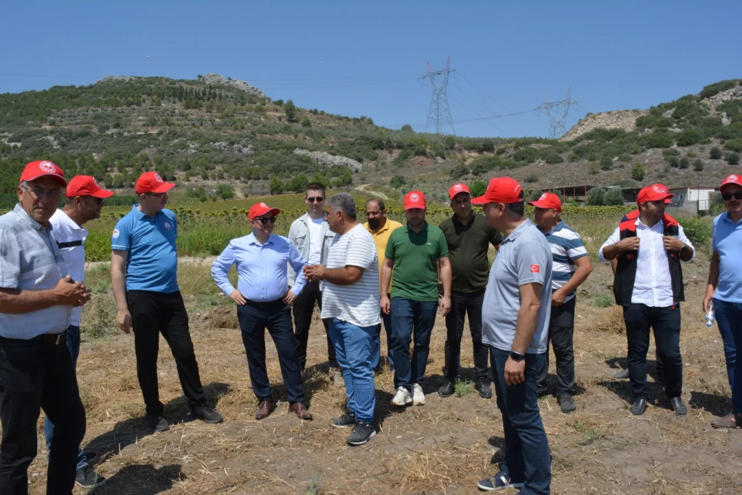 Kaymakam Kurtyemez, Ağaçpınar’da Alternatif Tarım Ürünleri Hasadına Katıldı