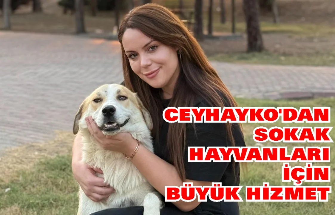 CEYHAYKO’dan Sokak Hayvanları İçin Büyük Hizmet