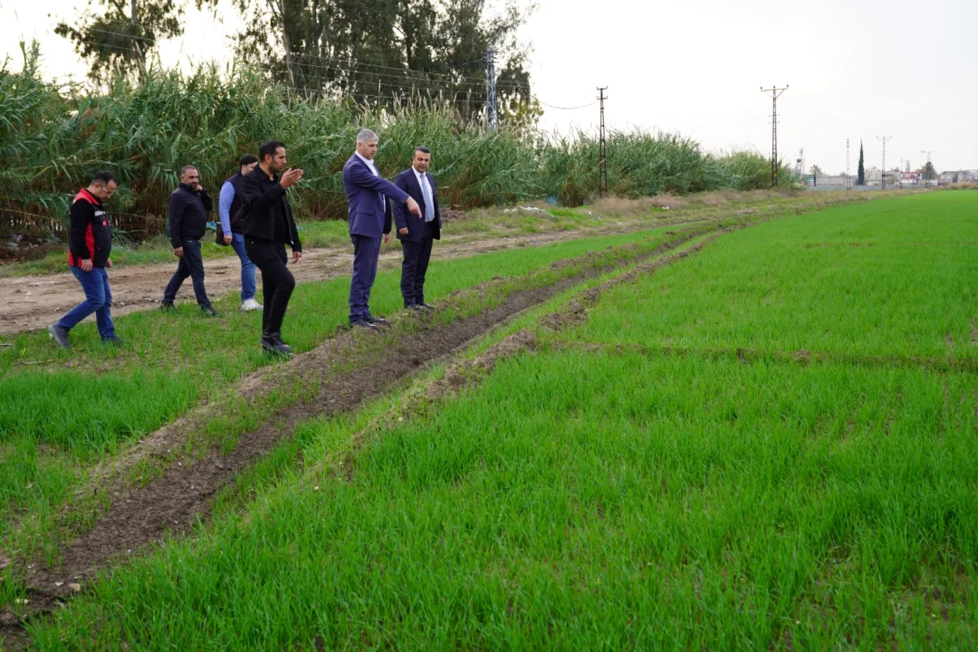 Buğday Ekiminde Son Durum: İl Müdürü Bayazıt Yüreğir’de İncelemelerde Bulundu