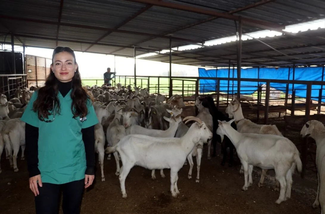 Ceyhan’da Genç Veterinerden Süt ve Peynir Üretim Hamlesi