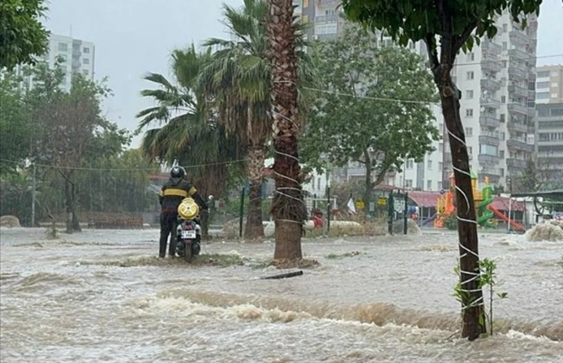 Fırtına Adana’yı Vurdu: Evlerin Üzerine Ağaçlar Düştü