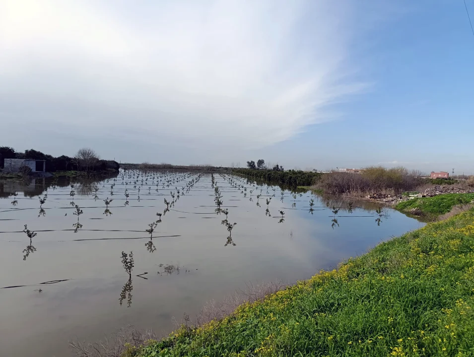 Adana’da Tarım Arazileri Su Altında: